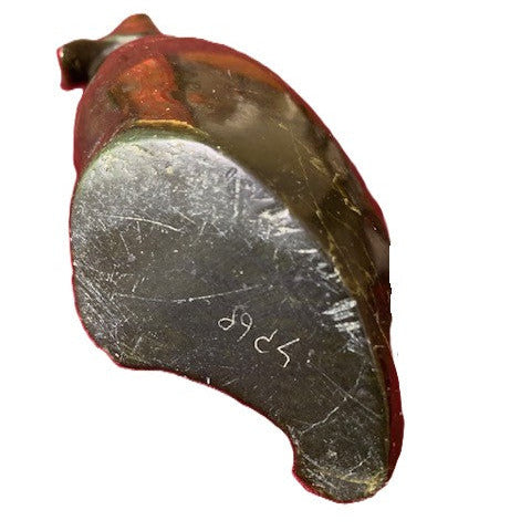 Oiseau posé sur un Phoque