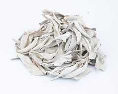 White Sage Leaves